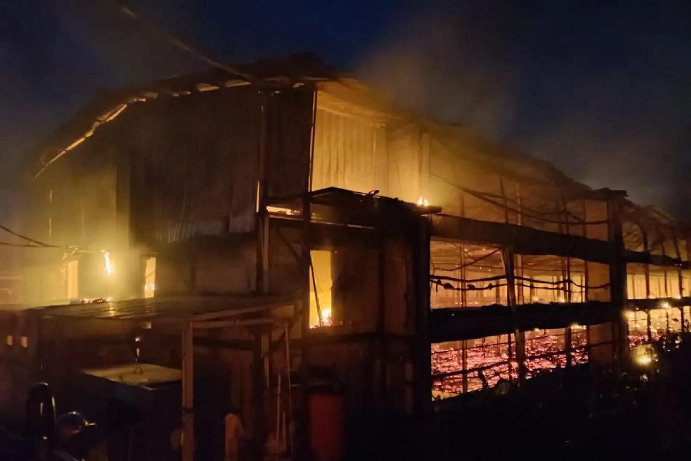 Kandang Ayam di Sragen Terbakar, Kerugian Ditaksir Mencapai Rp7,5 Miliar, 3 Orang Terluka