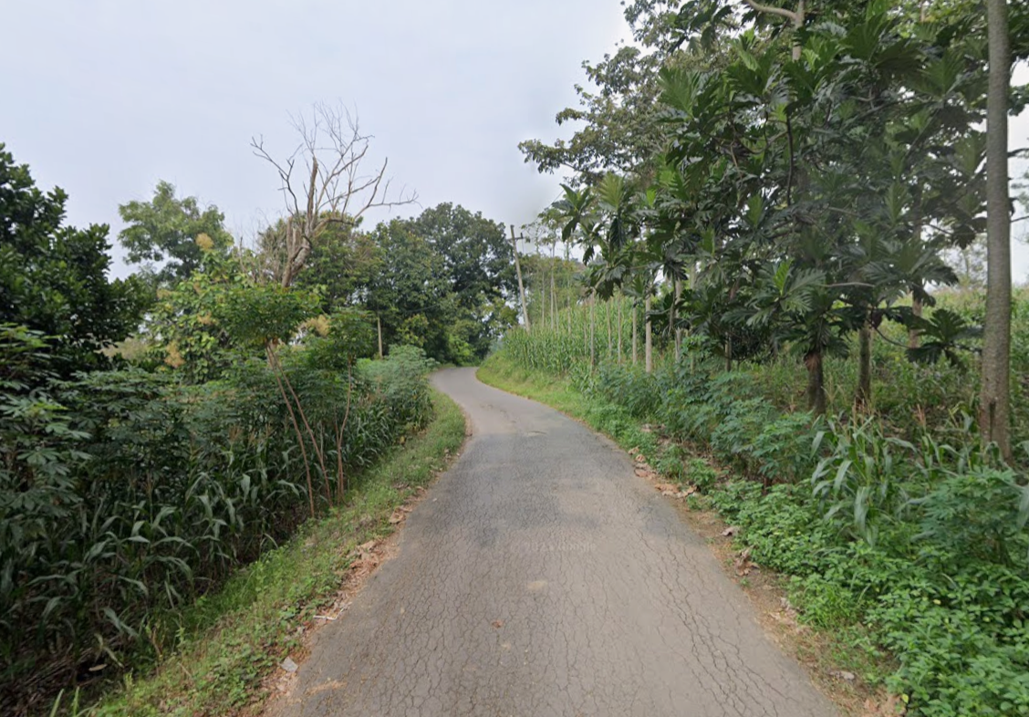 Hutan Jati Perhutani